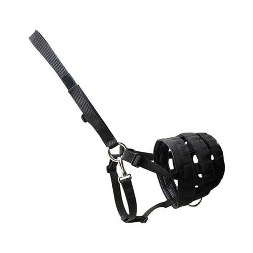 t̗Enz^[tʋCqe bVt}EXK[hveN^[ np