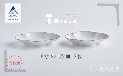 磁器白九谷「6寸ツバ形皿」2枚