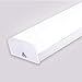Lampada a Tubo LED Fluorescenti Shadowless Luce da Garage, per Officina Garage Ufficio Supermercato Officina Cucina (30W-60CM)