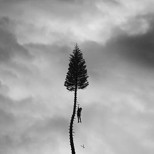 Manchester Orchestra - A Black Mile To The Surface[Gray Marble 2 LP]