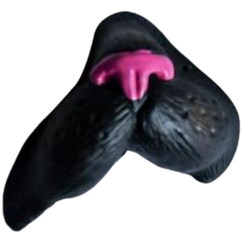 Plus Nao(vXiI) t@ ϑ}XN Soht ؂̕@ ؕ@ u^̕@ Ԃ̕@ Aq  JG lY~ Ck  Aj}  qE -