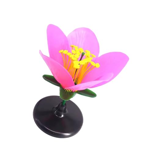 1 ピース拡大桃の花モデル中学校生物学教室デモンストレーション取り外し可能な花びらとおしべ高校生物学実験装置