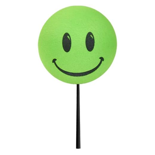 Tenna Tops Happy Smiley Face Car Antenna Ball/Auto Mirror Dangler/Dashboard Buddy (Lime Green)