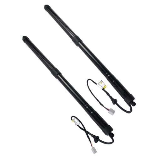 電動テールゲートストラット に適合する レクサス RX350 RX450h 2016-2019 テールゲートパワーサポートストラット 68920-48030 6892048031 6891048071 6891048070 リア L/R 2個 車用テールゲ