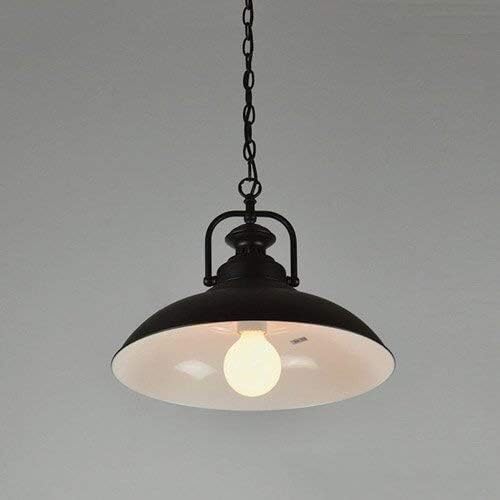 Miniatura 5 de Industrial Wrought Iron Pendant Light with Metal Mesh Shade for Loft-Style Living Room