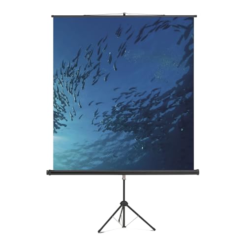 Toile Cineflex 1500 x 1500 mm écran de projection trépied bois portable