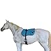Professional Equine Horse Breathable Anti-Slip Neoprene Turquoise Bareback Pad Pockets Cinch 39194TR