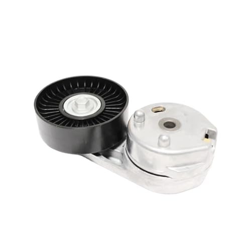 Poulie de tension de courroie AJ813574 pour Range Rover Sport LS et SUV LM