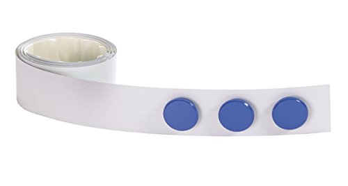 Preisvergleich Produktbild Dahle 95301 Magnetband (3,5 cm x 100 cm) hellgrau