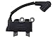 INPWOC Ignition Coil 291337001 with Spark Plug for Ryobi RY254BC 25.4CC and RY252CS RY253SS RY251PH 25cc String Trimmer 2 Cycle Trimmer Brush Cutter