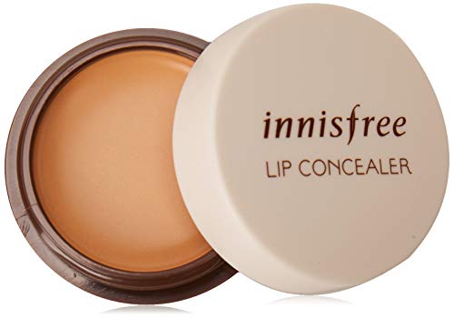 best lip concealer
