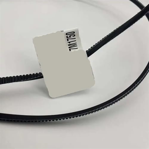 Cinturón 5M1600 ideal para recambio y ajuste mecánico 2