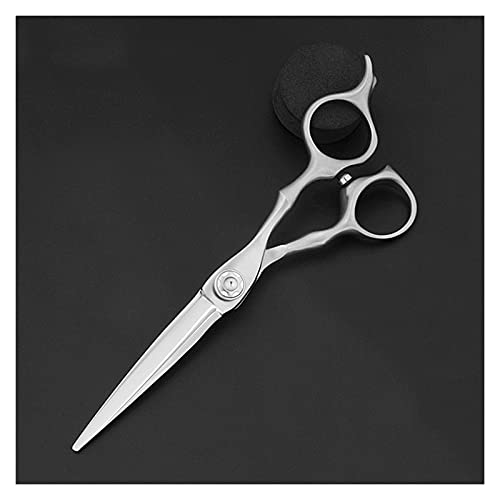Ciseaux de coupe de cheveux pour transformer votre salon de texturation