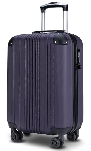 [Bargiotti] ABS�X�[�c�P�[�X �L�����[�o�b�O �L�����[�P�[�X ��e�� ���y�� TSA���b�N �_�u���L���X�^�[ �É� ���s �r�W�l�X�c (�p�[�v��, Small)