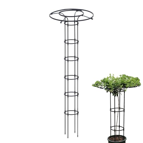 Estructura para Plantas Trepadoras De Exterior, Estructura Vertical de Soporte para Hortalizas, Estructura Metálica de Jardinería Exterior para Plantas Trepadoras y Vides