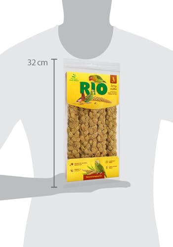 Kolbenhirse | 100 g | Ergänzungsfutter für Heimvögel | Beliebte Leckerei für Sittiche, Kanarien und mehr | Handverlesen & sorgfältig getrocknet | Ideal zum Spielen & Training – Bild 4