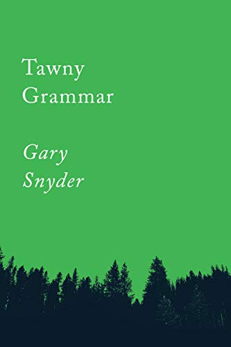 Tawny Grammar: Essays (Counterpoints Book 2)