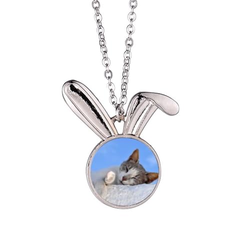 Collier lapin pour animal de compagnie pour sublimer votre ami