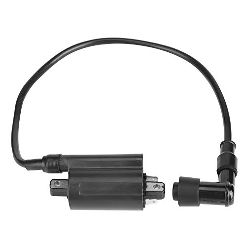 Bobine d'allumage Denso 129700 pour système d'allumage essence Coil Pack 2653