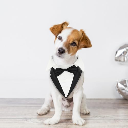 Disfraz formal de esmoquin negro para perros talla L miniatura 4