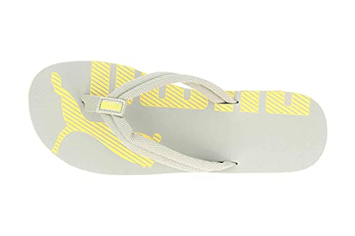 Image of PUMA Epic Flip V2 Synthetic Slipon Womens Athleisure Flip Flops