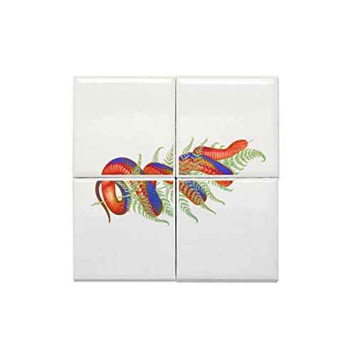 Carreaux céramique décoratif pour rénover un mur blanc terne facilement