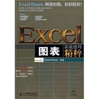 Excel chart the essence of combat skills 7115182337 Book Cover