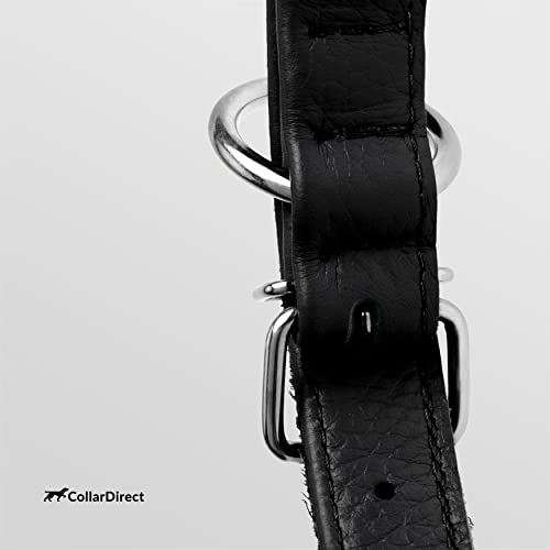 CollarDirect Rundes Leder Hundehalsband, weich gepolstert gerollt, handgefertigtes Echtleder Halsband für Hund Welpe Katze Klein Groß Schwarz Rosa Rot Lila Blau