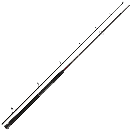 Daiwa Exceler Catfish Spin EXCCS 135G, 2,4 Mètres,...