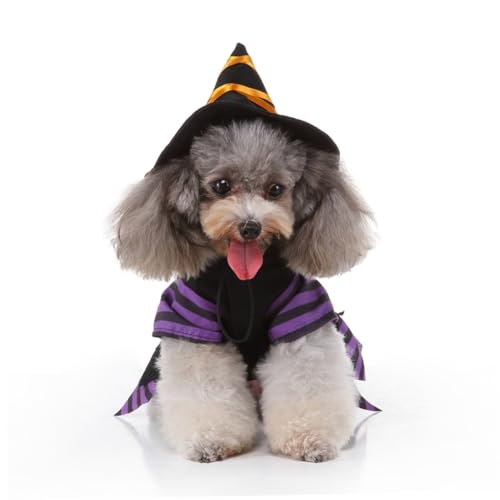 Disfraz de Bruja para Perros Halloween Talla M miniatura 2