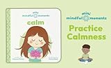 Zoom IMG-1 mini mindful moments calm