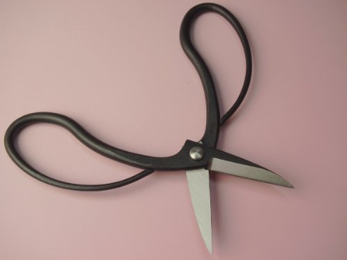 Amazon.com : HONMAMON"SHIGEKATSU" Raising Dwart Trees (Bonsai) Shears/ Scissors 180mm(7.1inch), Made in Japan : Tools & Home Improvement
