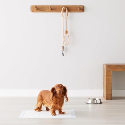 Image of Pet Training Pads, Regular Size 56x56 cm, Unscented, Leak-Proof Design with Quick-Dry Technology, 50 Count Pack for Puppies and Small Dogs