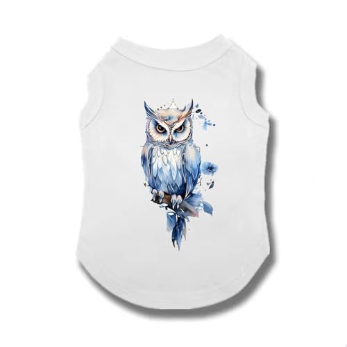 ZSDGBZ  ėp ⊴ TVc ^  ʋC  ΍ p^Ngbv t Ă΍  畆ی X|[cEFA JWA Lk  o U 3XL