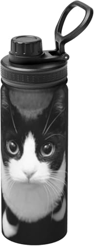  L L ʔ ˂  ^fM ۉ ۗ X|[c{g XeX{g X|[cΉ RȂ 530ml j̎q ̎q  l q lC v[g