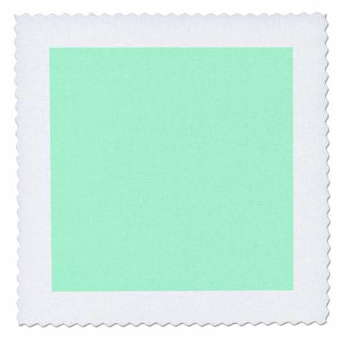 25x25 inch Quilt Square - Mint Green - Light Minty Pastel - Plain Simple one Single Solid Color - Very Pale Aqua Green Solid Colors