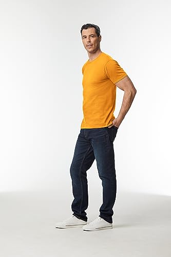 Image of Gildan Men T-Shirt
