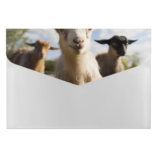 Dossiers de fichiers en plastique format lettre motif chèvre pour tri de documents