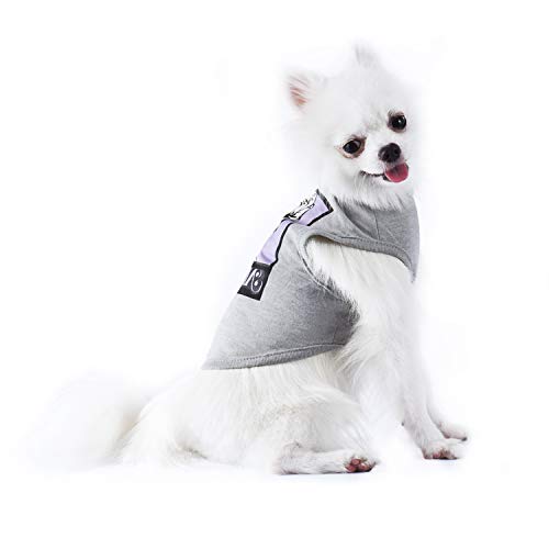 Star Wars For Pets Gray Leia Dog Tank | Star Wars Dog Shirt For Large Dogs | Large Dog T Shirt, Size Large | Soft, Cute, And Comfortable Dog Clothing And Apparel, Cute Dog Clothes #TOP4
