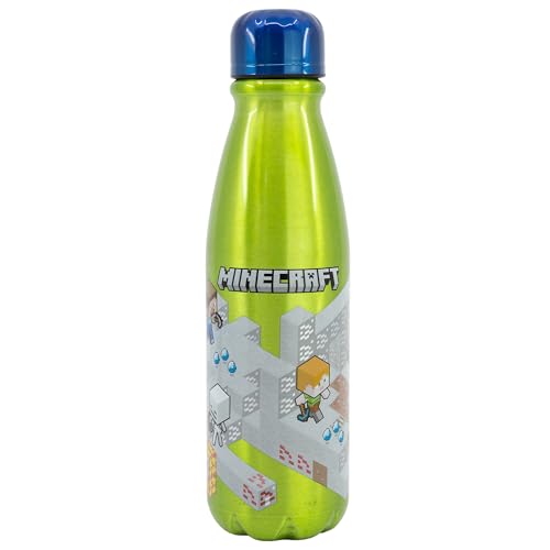 Stor BOTELLA ALUMINIO INFANTIL 600 ML MINECRAFT ISOMETRIC