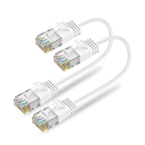 Ankuly Cat6A LANケーブル 短いランケーブル 1m 2本セット RJ45コネクタ 10Gbps サーバー 企業様向け 有線ケーブル 業務でも家庭でも