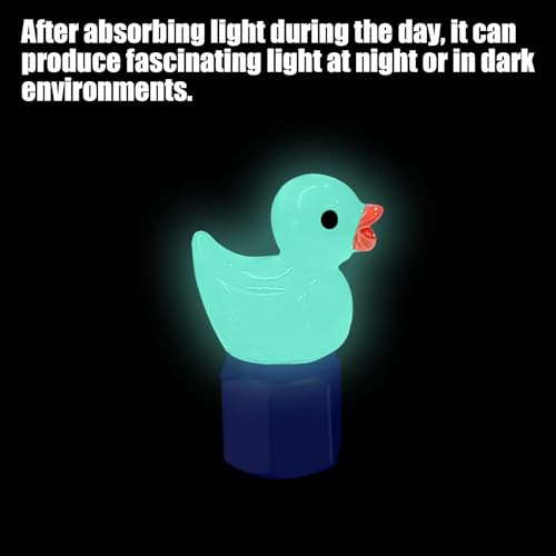 4 Pack Cute Duck tire Valve caps, Glow in The Dark Tire Valve Caps, Interesting and Practical Tire Decoration, Can be Used for Cars, Motorcycles, Trucks, and Bicycles.(Blue)