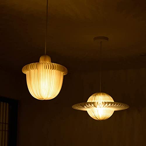 Dispositif d'éclairage suspendu LED chic avec commutation trois couleurs - 3