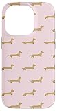 My Dachshund Doxie Dapple Depot For Women & Teens