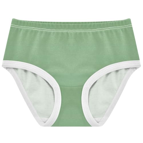 Joisal Dinosaur Green Dark Sea Gradient Girls Underwear Toddler 2t Cotton Panties for Girl Durable Briefs Undies Kids