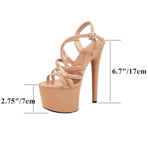 Strappy Heels for Women Sexy Open Toe Platform Heeled Sandals Dressy 6.7 Inches Stiletto High Heels Party Dance Wedding Catwalk Dress Shoes4