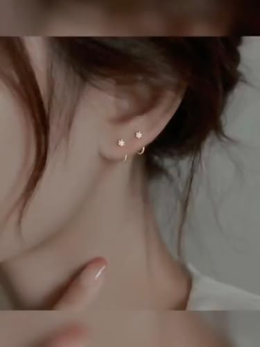 t[vsAX U ꗱ  S[h 킢 Zbg |Cg