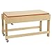 Wood Designs Sand and Water Sensory Play Table, Drainable Plastic Tub with Lid, Sturdy Birch Plywood Built for Kids, Daycare, Classroom 46