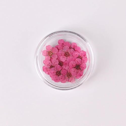 100 piezas flores prensadas secas para arte de uñas DIY miniatura 1