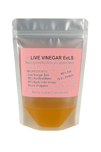 Live Vinegar Eels Culture (Turbatrix aceti) &ndash; First Food for Fish Fry &ndash; Betta & Guppy Fry Live...